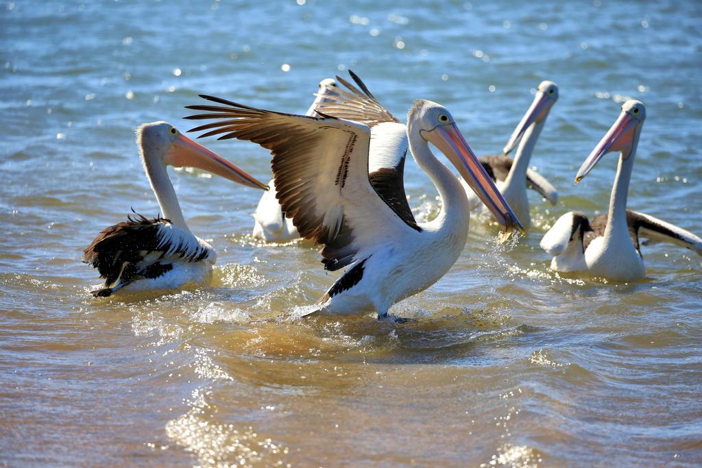 Alva Beach Tourist Park Dış mekan fotoğraf
